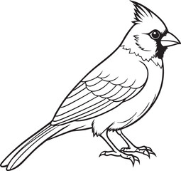 Obraz premium Cardinal bird on branch vector silhouette, Bird on a branch line art, Vector illustration
