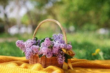 Wicker basket with lilac flowers on blanket outdoors, closeup