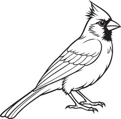 Cardinal bird on branch vector silhouette, Bird on a branch line art, Vector illustration