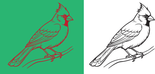 Cardinal bird on branch vector silhouette, Bird on a branch line art, Vector illustration