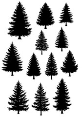 Obraz premium Midnight Evergreen Silhouettes AI Generated