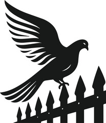 Vector pigeon bird silhouette isolated