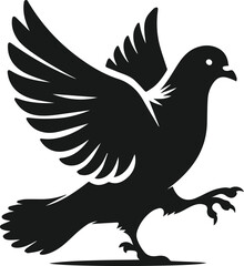 Vector pigeon bird silhouette isolated