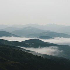 Misty Mountain Landscape