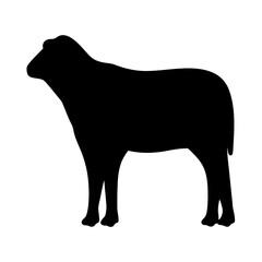 Black silhouette image of a sheep standing on a white background