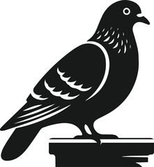Vector pigeon bird silhouette isolated