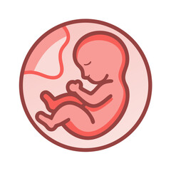 Fetus Inside Womb Symbol Representing Pregnancy and Human Development