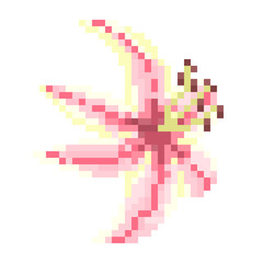 Fototapeta premium Pixelated lily Tropical Flower