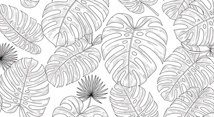 Botanical Linework Reverie