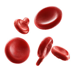 Red Blood Cells in Motion: A Scientific Visual , isolated on white background png