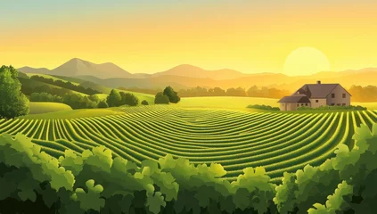 Fototapeten Lush vineyard landscape at sunrise.  Rolling hills, terraced rows of vines, a quaint farmhouse, and a serene sunrise © Alchemist