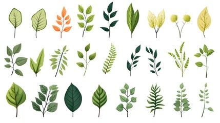 Botanical Foliage Icons Set for Nature and Ecology Drawings