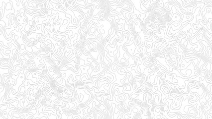 topography white background and black line wireframe isoline location diagram world map texture design .