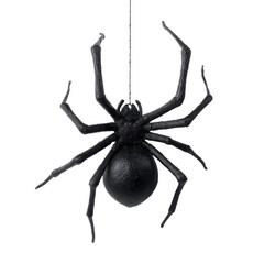 Black Spider Halloween Decoration , isolated on white background png