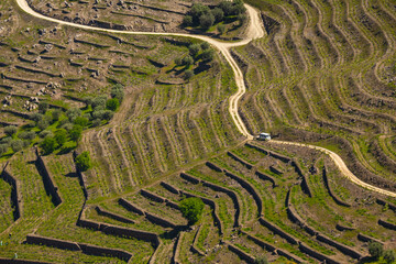 UNESCO World Heritage, the Douro Valley beautiful endless lines of Vineyards, in Sao Joao da Pesqueira, Viseu, Portugal.