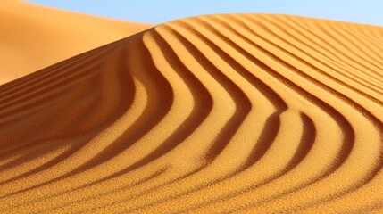 Naklejka premium Golden ripples dance across the sandy dunes in a mesmerizing desert landscape