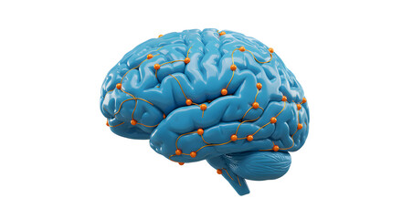 3D Render Of Blue Brain with Neural Network Connections on a White Background for Medical Research and Education
