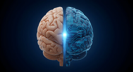 Brain Divided Between Human Anatomy and Digital Circuitry on Dark Blue Background Representing Artificial Intelligence Future Technology