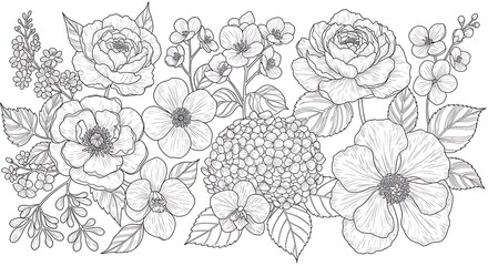 Whispers of Bloom