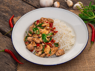 Rice topped with stir fried chicken and basil in white plate on wooden background. Thai Food