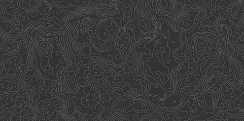 Geographic contour map. Abstract outline grid.Retro topographic map.vector illustration.