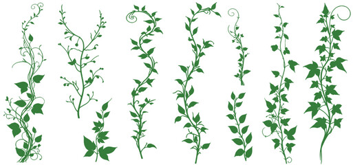 Liana plants. Tropical climbing creepers branches with moss, rainforest flora flat vector illustration isolated on white background