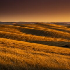 Fototapeta premium Golden Grassland Sunset Landscape
