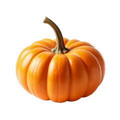 Obraz premium A single orange pumpkin