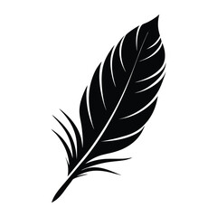 Obraz premium Feather silhouette light and delicate vector on white background