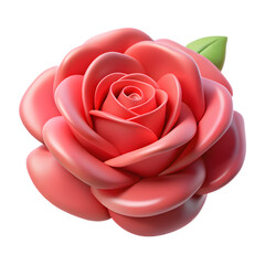 pink rose isolated on white background