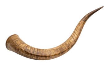 PNG Traditional jewish shofar horn on black background