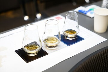 Tasting experience with multiple whisky samples at a cozy venue