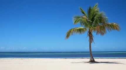 Fototapeta premium Waves gently lapping against a single palm tree on a quiet beach tropical paradise photography serene ambiance coastal view tranquility