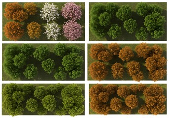 Collection of Diverse Treetop Views Spring, Summer, Autumn, Winter