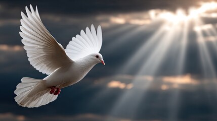 Fototapeta premium A white dove flies high in a blue sky, surrounded by fluffy clouds with sunlight breaking through, creating a serene atmosphere