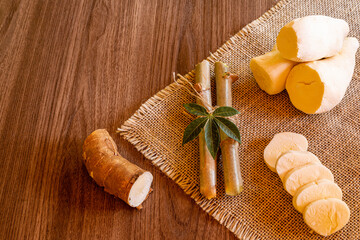 Cassava, also called manioc, yuca, balinghoy, mogo, mandioca, kamoteng kahoy, tapioca and manioc root, a woody shrub of the Euphorbiaceae family native to South America.