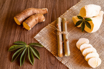 Cassava, also called manioc, yuca, balinghoy, mogo, mandioca, kamoteng kahoy, tapioca and manioc...