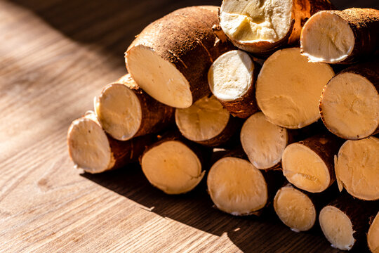 Cassava, also called manioc, yuca, balinghoy, mogo, mandioca, kamoteng kahoy, tapioca and manioc root, a woody shrub of the Euphorbiaceae family native to South America.