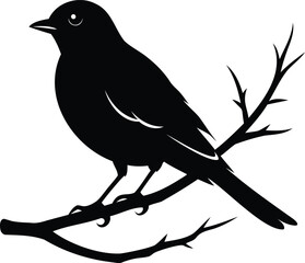 Silhouette of a Small Bird Perched on a Bare Branch in Winter