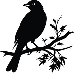 Silhouette of a bird perched on a branch with leaves and twigs