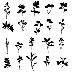 Nocturne of Botanical Shadows AI Generated