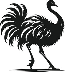 Obraz premium Vector ostrich isolated black silhouette