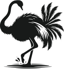 Obraz premium Vector ostrich isolated black silhouette