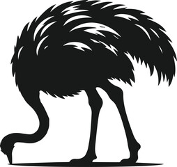 Vector ostrich isolated black silhouette