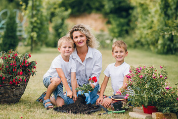 Two young sons help their mother plant flowers in flowerpots. Gardening Day, planting flowers. Mom...