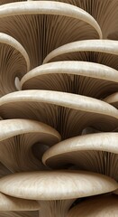 Obraz premium Close-up of Oyster Mushrooms, Gills and Texture