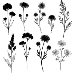 Inkbloom Sketches AI Generated