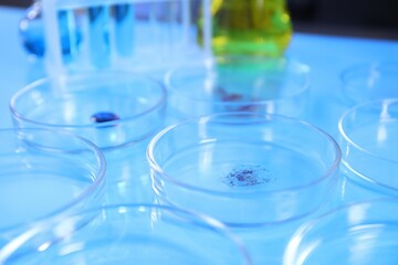 Petri dishes with samples on light blue background, closeup
