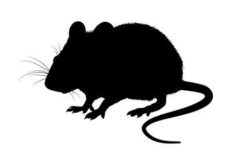 Mouse silhouette, outline – vector illustration