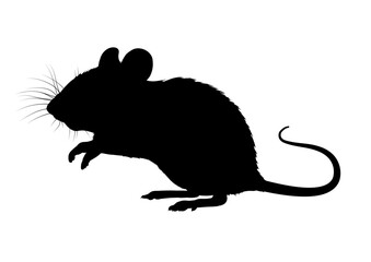 Mouse silhouette, outline – vector illustration